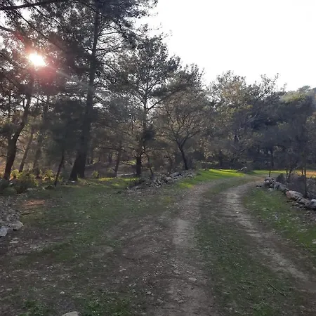 אתר קמפינג Retreat Kayakoy