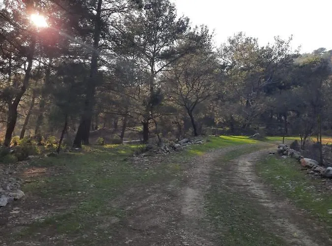 キャンプ場 Retreat Kayakoy