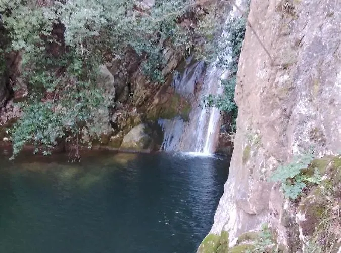 キャンプ場 Retreat *